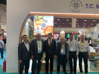 Y�REX 2026